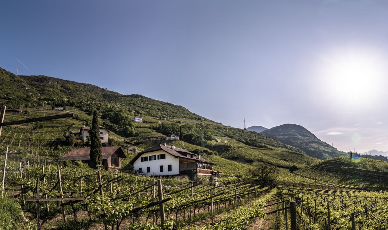 Weingut & Apartments