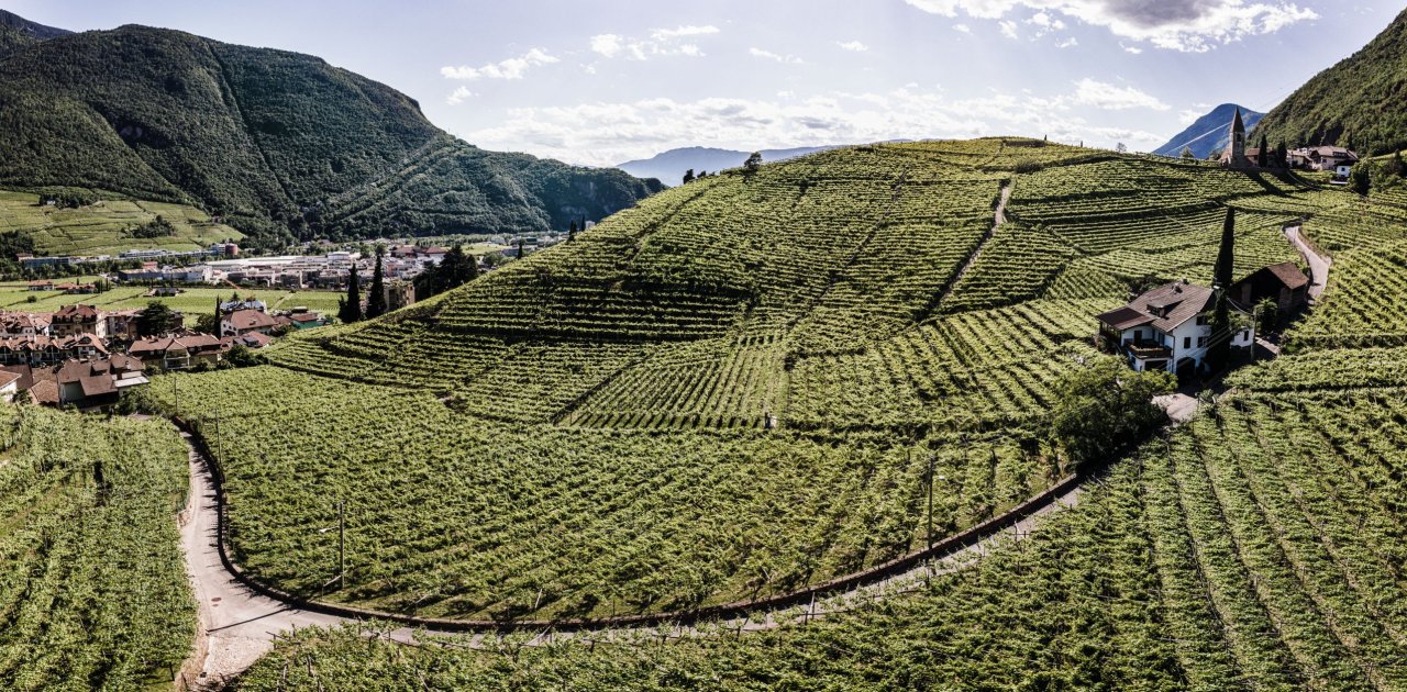 Terroir – Die Weinberge