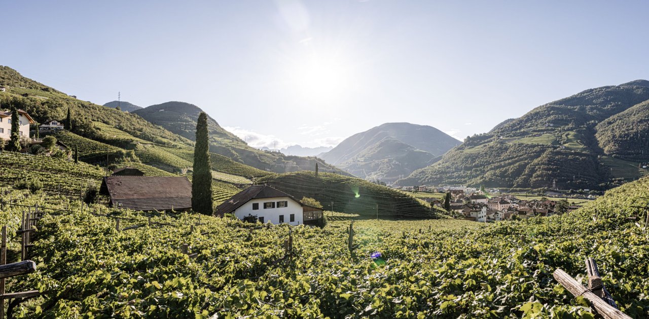 Willkommen am Untermoserhof