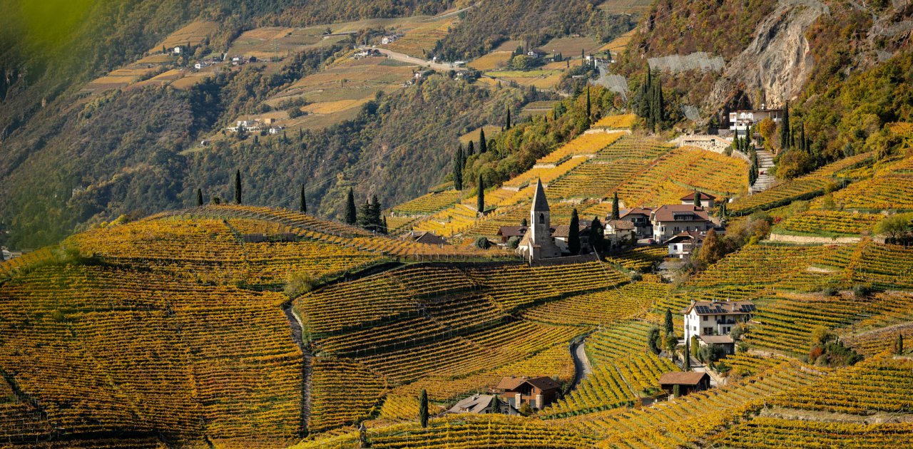 Weingut Untermoserhof