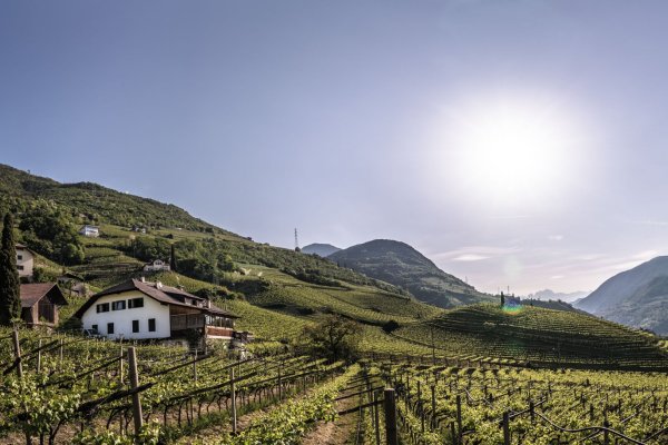 Untermoserhof