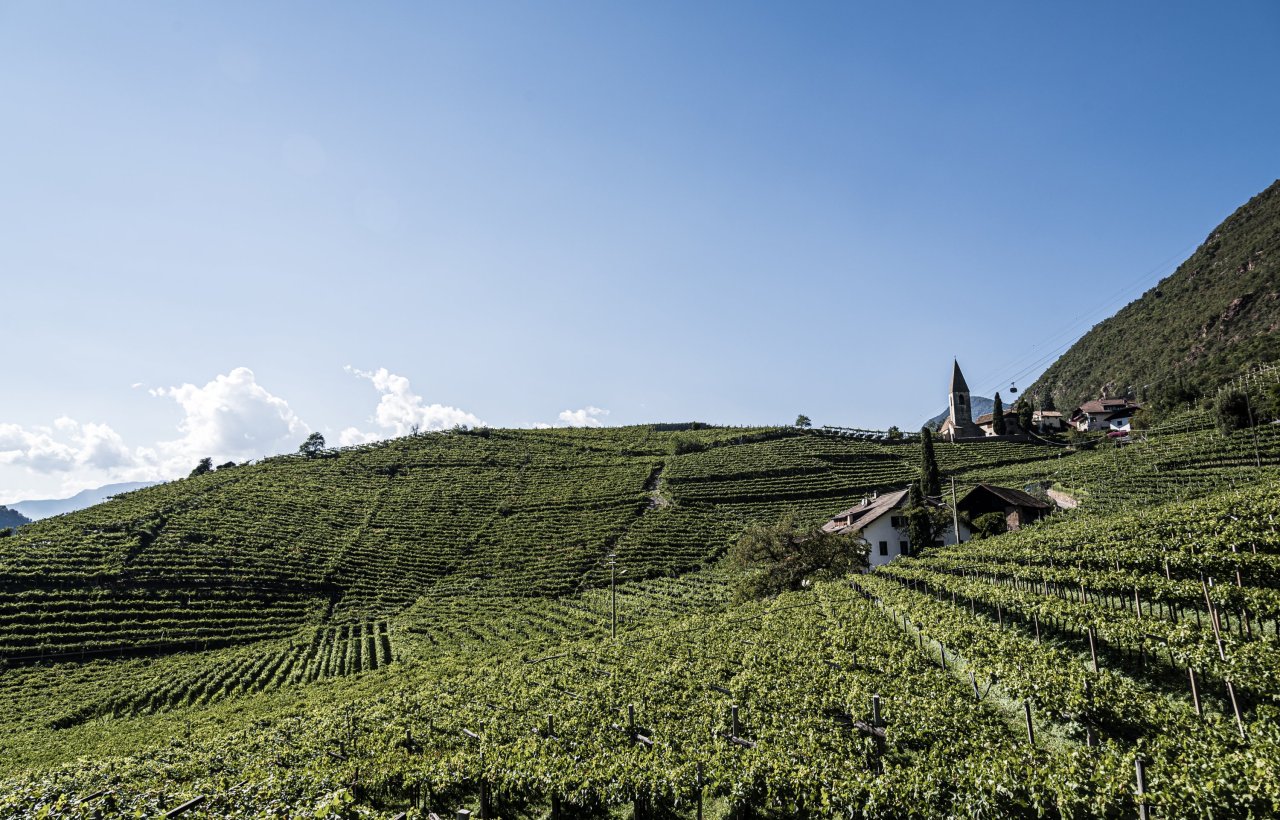 Weingut & Apartments Untermoserhof