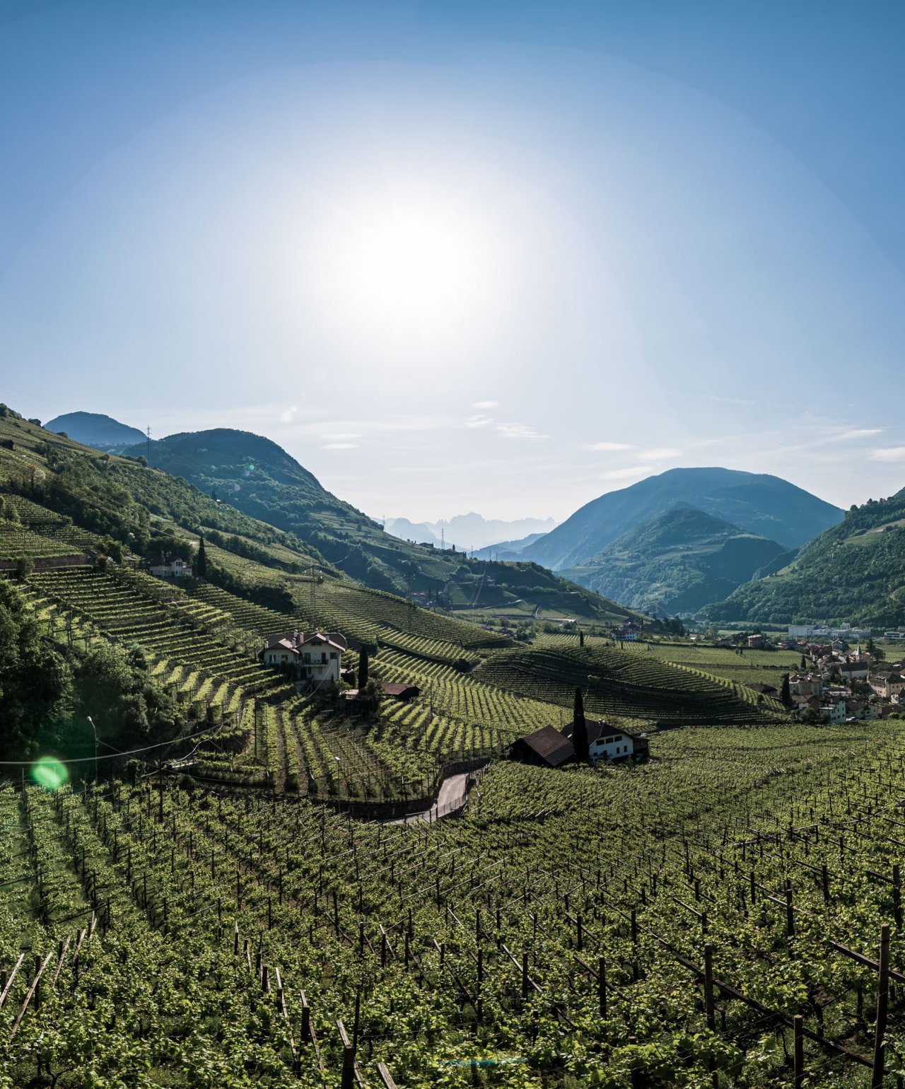 Weingut & Apartments Untermoserhof